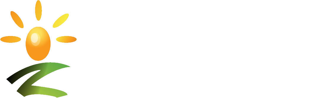 Dynamic Life